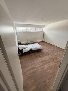 Foto - 3 Zimmer Etagenwohnung zur Miete in Leck