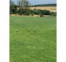 Ackerland in der Gemeinde Ottrau - Neukirchen