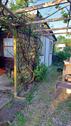 Foto - Kleingarten - 4.000,00 EUR Kaltmiete, ca.  0,00 m²