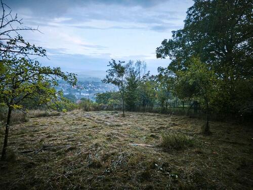 Foto - Freizeitgrundstück in Ammerbuch bei Tübingen