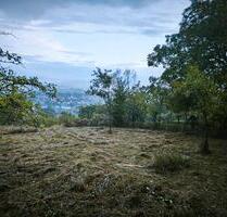 Freizeitgrundstück in Ammerbuch bei Tübingen