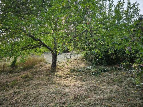 Foto - Grundstück zur Miete in Tübingen