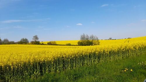 Foto - Ferienwohnung zwischen den Meeren