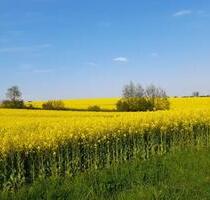 Ferienwohnung zwischen den Meeren - Süderbrarup