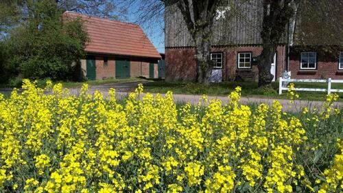 Foto - andere zur Miete in Süderbrarup