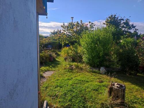 Foto - Grundstück in Ribnitz-Damgarten