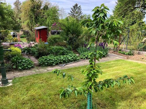Foto - Grundst&uuml;ck zur Miete in Wiesbaden