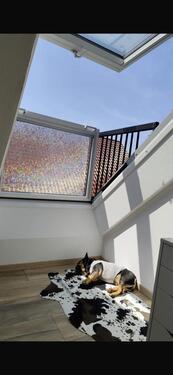 Foto - 2 Zimmer Etagenwohnung zur Miete in Westerholt