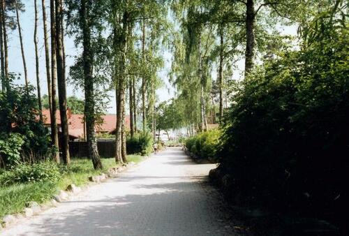 Foto - 