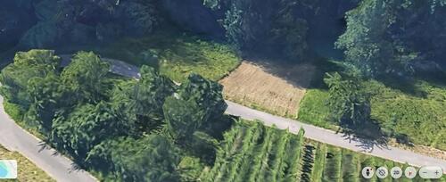 Foto - Wiese in Grunbach zu verpachten