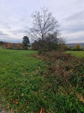 Foto - Grundst&uuml;ck in Keltern