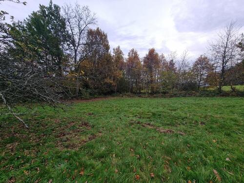 Foto - Grundst&uuml;ck in Keltern zur Miete