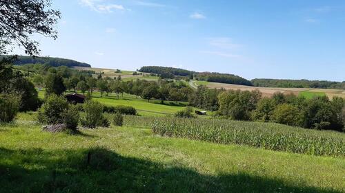 Foto - Stückle Wiese Freizeitrundstück Grundstück