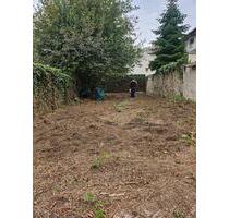 Garten zur Miete- Ideal für Hobbygärtner oder Selbstversorger - Geseke