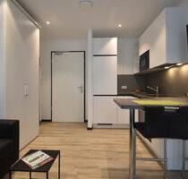 1 Personen-Penthouse-Wohnung, 2 Zimmer, möbliert, Spülmaschine, Balkon - zentral in Offenbach ab 01.10.2025 - Offenbach am Main