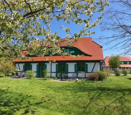 Foto - Rügen❤️ Ostsee 2 top Ferienwohnungen direkt am Meer Hund erlaubt