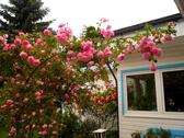 Foto - Idyllisches Einfamilienhaus in Bungalowstil mit Rosengarten