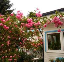 Idyllisches Einfamilienhaus in Bungalowstil mit Rosengarten - Wandlitz