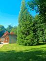 Foto - 4 Zimmer Einfamilienhaus in Geisenfeld