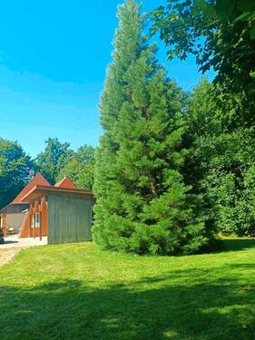 Foto - 4 Zimmer Einfamilienhaus in Geisenfeld