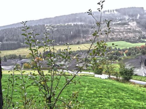 Foto - 4 Zimmer Etagenwohnung zur Miete in Eslohe (Sauerland)