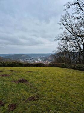 Foto - 2 Zimmer Erdgeschoßwohnung zur Miete in Wertheim
