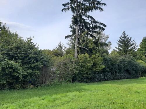 Foto - Grundst&uuml;ck zur Miete in Pliening