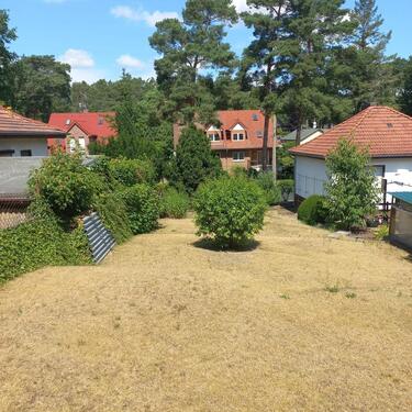Foto - 2.5 Zimmer Einfamilienhaus in Schönwalde-Glien