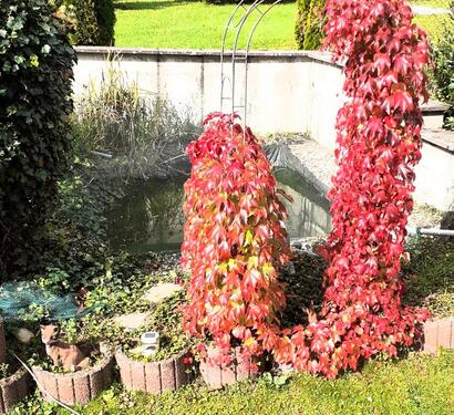 Foto - Einfamilienhaus - 480.000,00 EUR Kaufpreis,