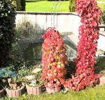 Einfamilienhaus - 480.000,00 EUR Kaufpreis, in Gemmingen (PLZ: 75050)