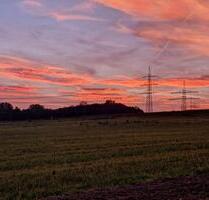 1,5 Zimmer Wohnung Maintal Wachenbuchen ab 1.01.26 zu vermieten - Frankfurt am Main Bonames