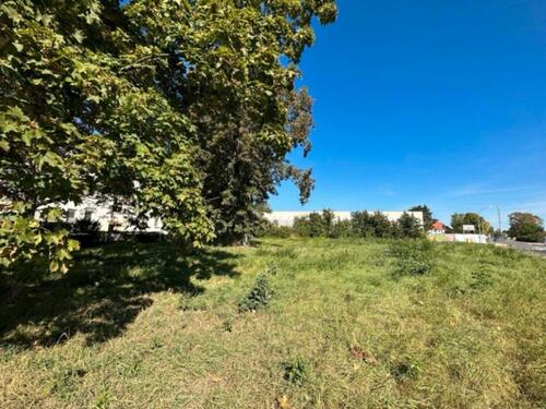 Foto - Grundst&uuml;ck in Wurzen