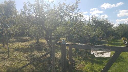 Foto - Grundst&uuml;ck zur Miete in Horb am Neckar