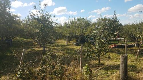Foto - Grundst&uuml;ck in Horb am Neckar