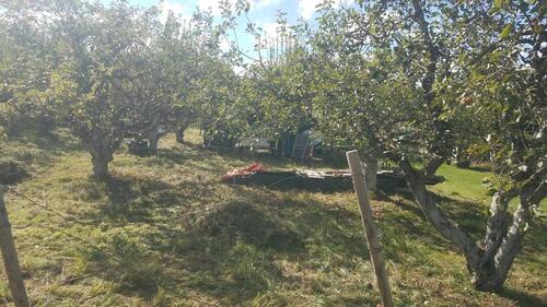 Foto - Grundst&uuml;ck in Horb am Neckar zur Miete