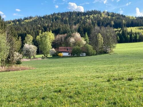 Foto - LIEBHABER - ALLEINLAGE - 549.000,00&nbsp;EUR Kaufpreis, ca.&nbsp; 245,00&nbsp;m&sup2;