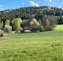 LIEBHABER - ALLEINLAGE - 549.000,00&nbsp;EUR Kaufpreis, ca.&nbsp; 245,00&nbsp;m&sup2; in Kirchberg im Wald (PLZ: 94259)