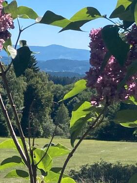 Foto - 7 Zimmer Einfamilienhaus zum Kaufen in Kirchberg im Wald
