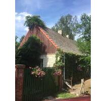 Haus mit großem Garten in Oderbruch. Alleinlage. - Bad Freienwalde (Oder)