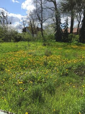 Foto - 3 Zimmer Bauernhaus, Landhaus zum Kaufen in Bad Freienwalde (Oder)