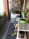 Foto - Etagenwohnung in Bremen zur Miete