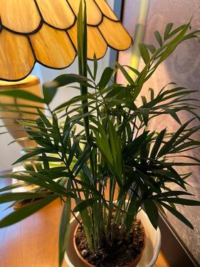 Foto - Gewerbe & Büro → Praxisräume & Therapieräume