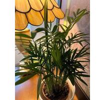 Gewerbe & Büro → Praxisräume & Therapieräume - Siegburg