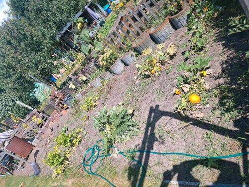 Foto - Grundst&uuml;ck zur Miete in Brandenburg an der Havel