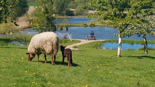 Foto - andere zur Miete in Winsen (Luhe)