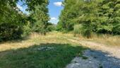 Foto - andere in Burgstetten zur Miete