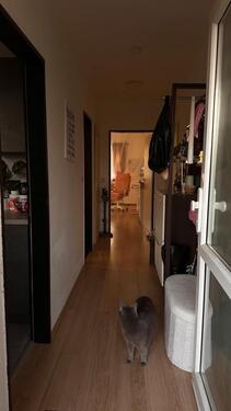 Foto - 1 Zimmer Etagenwohnung zur Miete in Aachen