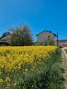 Foto - Einfamilienhaus in Kösching zum Kaufen