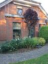 Foto - 4 Zimmer Einfamilienhaus zum Kaufen in Rerik