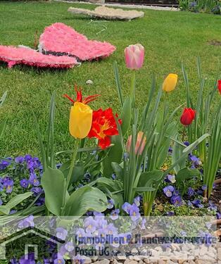 Foto - Haag i. OBB.1,5-Zi Gartenwohnung mit EBK und Garagenstellplatz in ruhiger Lage am Waldrand